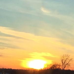 Meet your Posher, Dylan